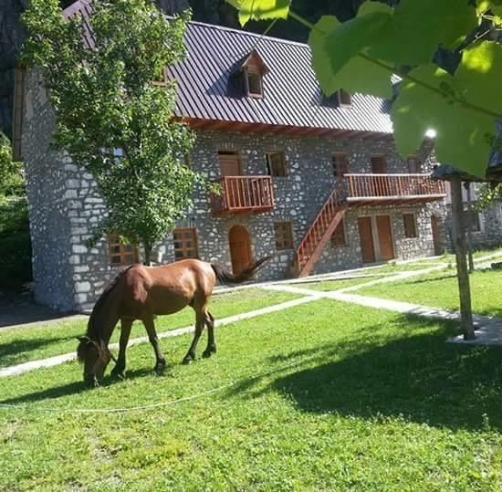Bujtina Berishta Theth Otel Dış mekan fotoğraf